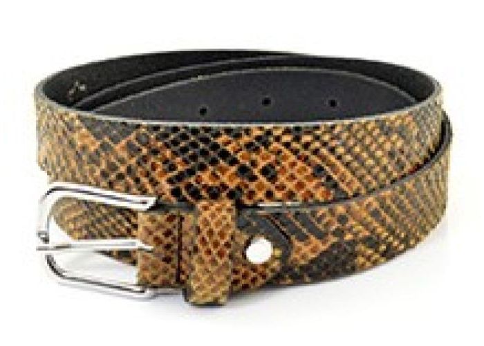 Mode accessoires Miss Muller RIEM MISS PYTHON 95 CM Dierprint