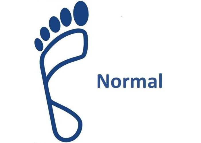 Birkenstock 0151211 ARIZONA BS regular fit pantoffels & slippers taupe donker