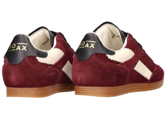 Boax Studio TRACK 7003 sneakers  bordeaux