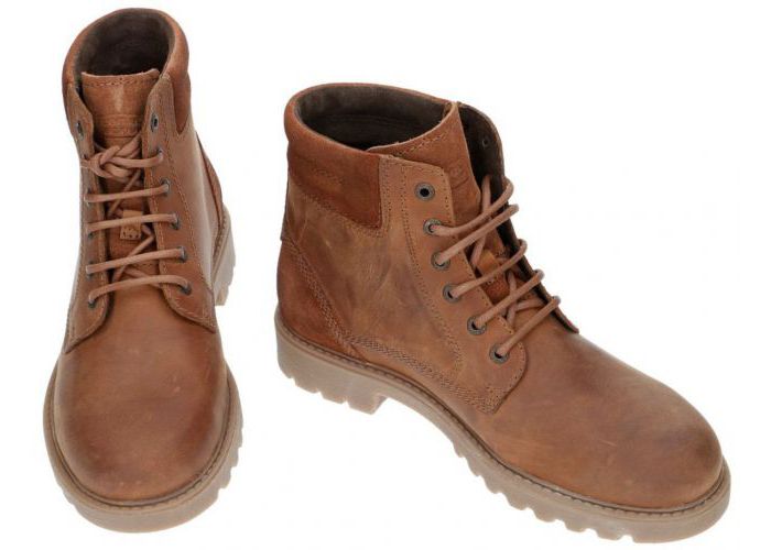Camel Active 400.13.02 OUTBACK boots & bottines bruin
