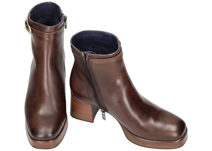 Dorking CRISTEL D9733 enkellaarzen bruin donker
