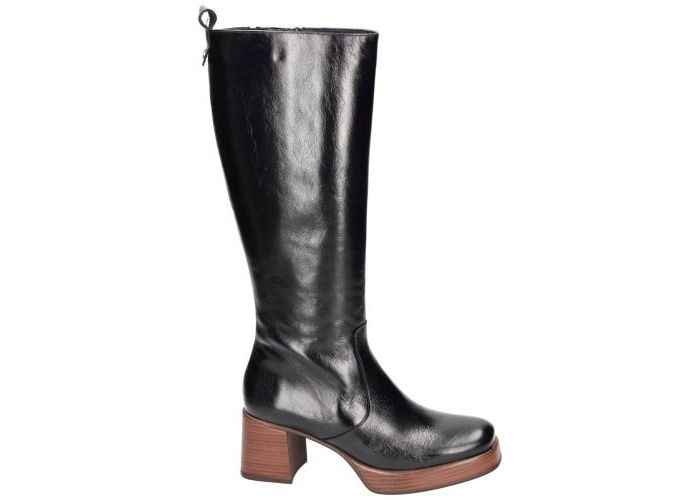 Dorking CHRISTEL D9339-AL laarzen zwart