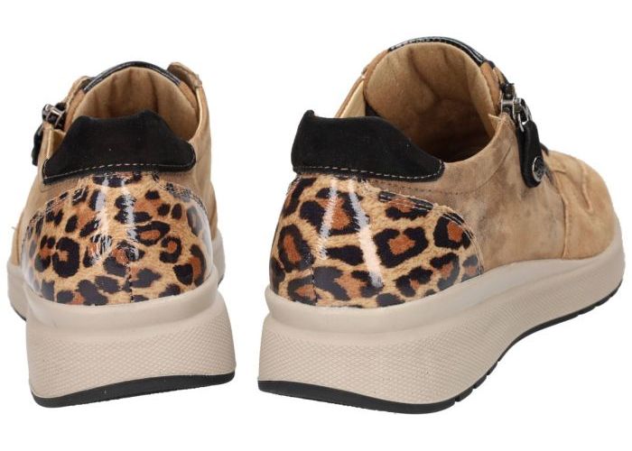 Fidelio Hallux 566114  MULTISTRETCH HEAVEN H sneakers  camel