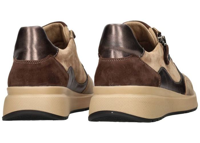 Fidelio Hallux 566111  MULTISTRETCH HEAVEN H sneakers  taupe