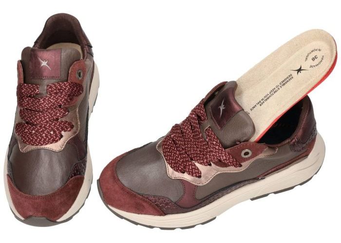 Xsensible Rainbow 33011.3.747 GX (next generation) sneakers  bordeaux