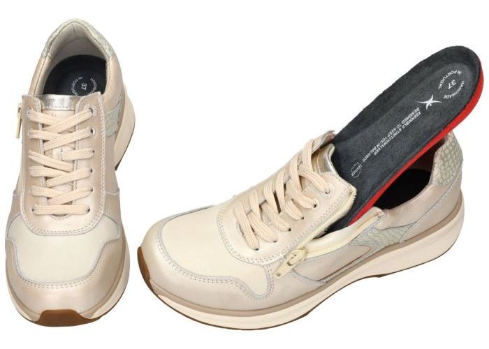 Xsensible New Jersey 30150.3.176 GX sneakers  crÈme